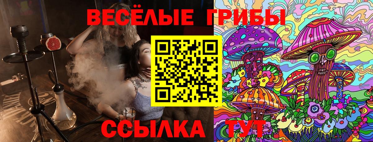 Ростов Великий  Псилоцибиновые грибы GOLDEN TEACHER  Галлюциногенные грибы прущие грибы  Вход с VPN 